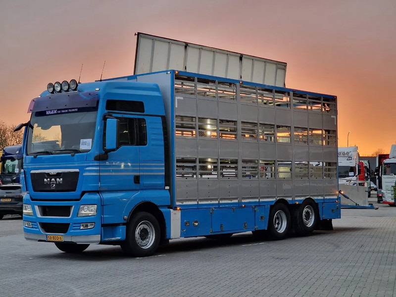 MAN TGX 26.440 6x2*4 - 3 deck Livestock - Water & Ventilation - Manual gearbox - Steering axle - Veewagen vrachtwagen: afbeelding 4 MAN TGX 26.440 6x2*4 - 3 deck Livestock - Water & Ventilation - Manual gearbox - Steering axle - Veewagen vrachtwagen: afbeelding 4