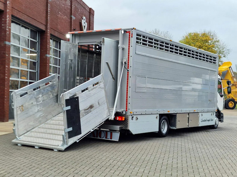 Nieuw Veewagen vrachtwagen Pezzaioli 1 deck - Ventilation - 17.9M2 - Ramp - NEW box: afbeelding 10