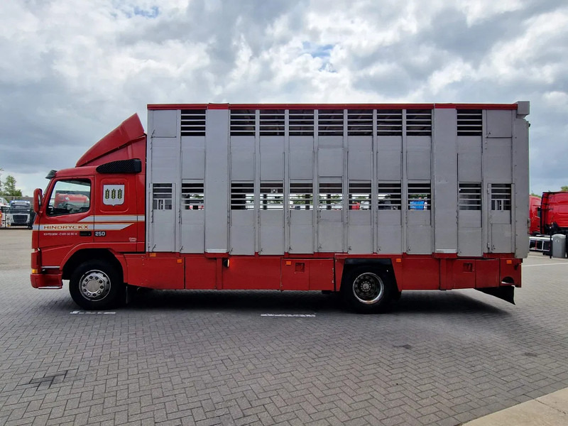 Volvo FM 250 4x- Livestock 2 deck - Lifting floors - Loadlift - Manual gearbox - Veewagen vrachtwagen: afbeelding 4 Volvo FM 250 4x- Livestock 2 deck - Lifting floors - Loadlift - Manual gearbox - Veewagen vrachtwagen: afbeelding 4