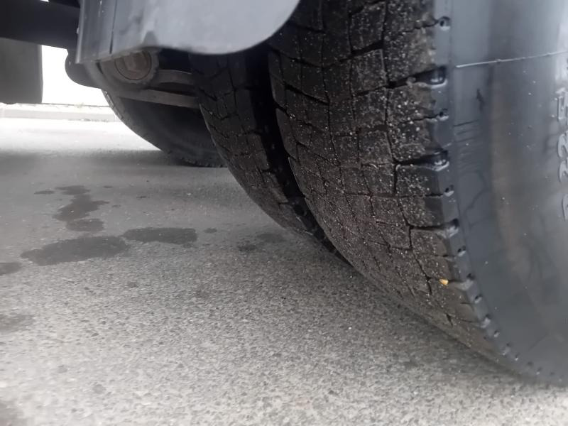 Renault Magnum 480 DXI - Trekker: afbeelding 4 Renault Magnum 480 DXI - Trekker: afbeelding 4