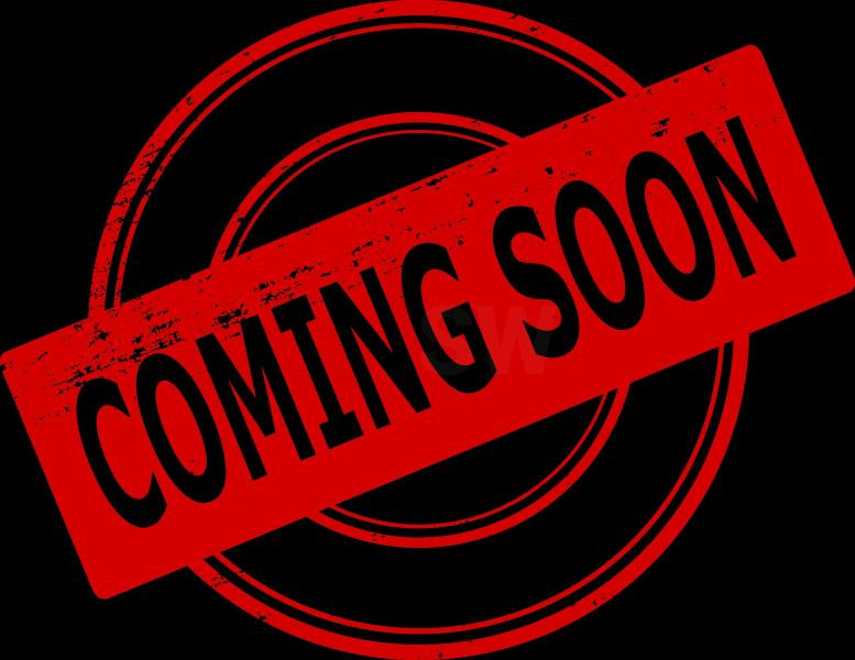 Volvo EC300ENL - Rupsgraafmachine: afbeelding 1 Volvo EC300ENL - Rupsgraafmachine: afbeelding 1