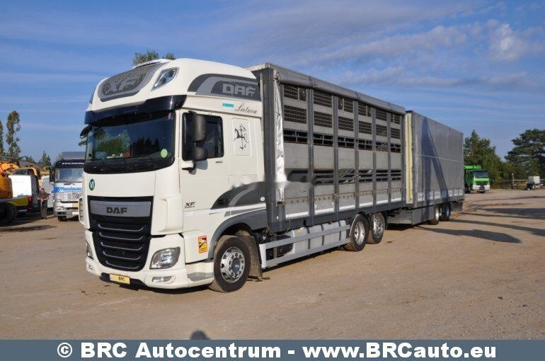 Paardenvrachtwagen DAF DAF Krone XF 460 FAR XF 460 FAR: afbeelding 1