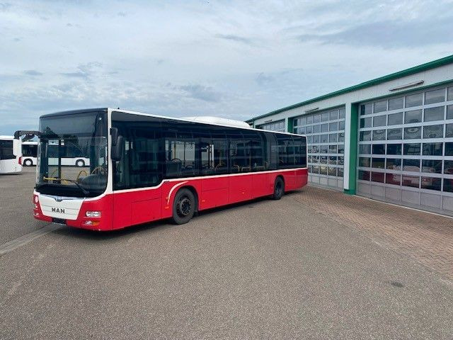 MAN A 21 Lions City KLIMA EURO 6 ZF EcoLife 2x - Stadsbus: afbeelding 5 MAN A 21 Lions City KLIMA EURO 6 ZF EcoLife 2x - Stadsbus: afbeelding 5