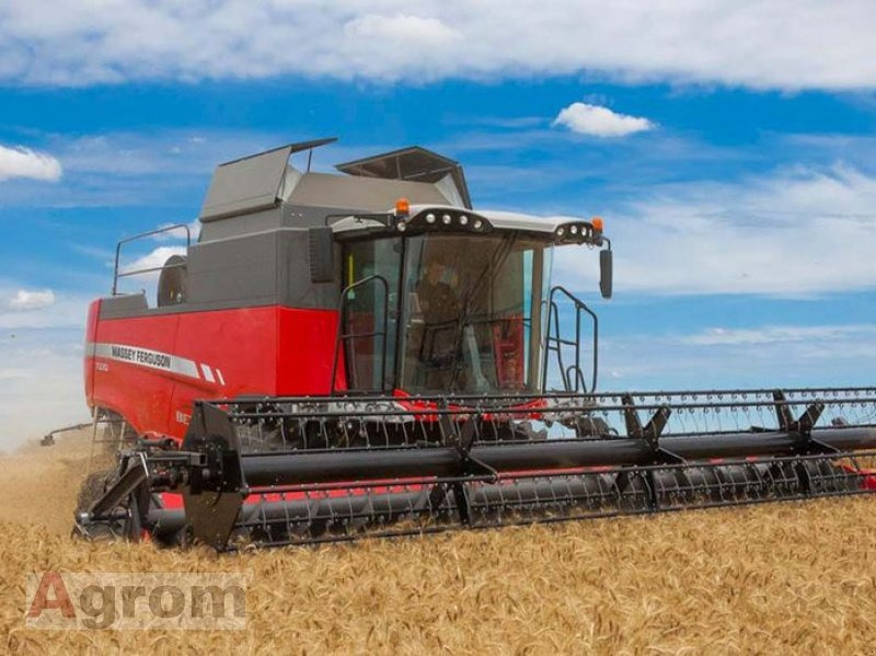Massey Ferguson 7360 Beta ParaLevel - Maaidorser: afbeelding 1 Massey Ferguson 7360 Beta ParaLevel - Maaidorser: afbeelding 1
