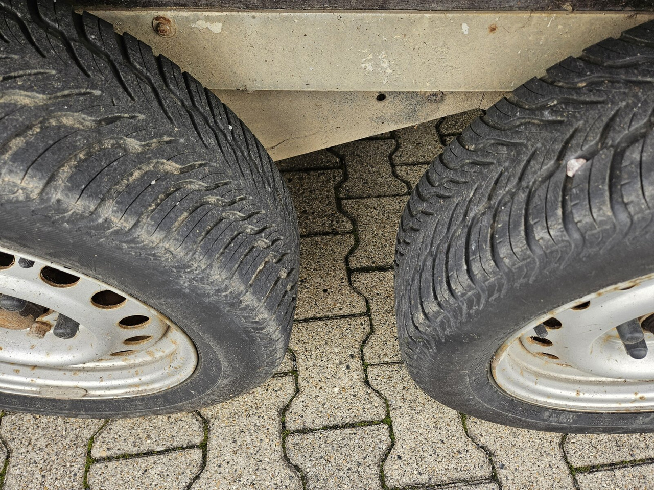 Blomert T2BPA Pferdeanhänger T2BPA Pferdeanhänger - Paardentrailer: afbeelding 4 Blomert T2BPA Pferdeanhänger T2BPA Pferdeanhänger - Paardentrailer: afbeelding 4