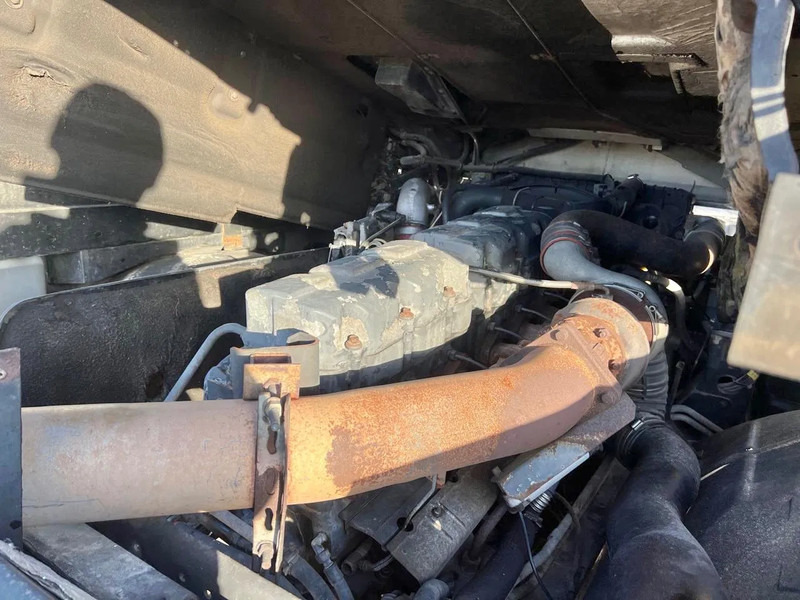 Trekker Renault Magnum 480 Mack, MANUAL: afbeelding 19