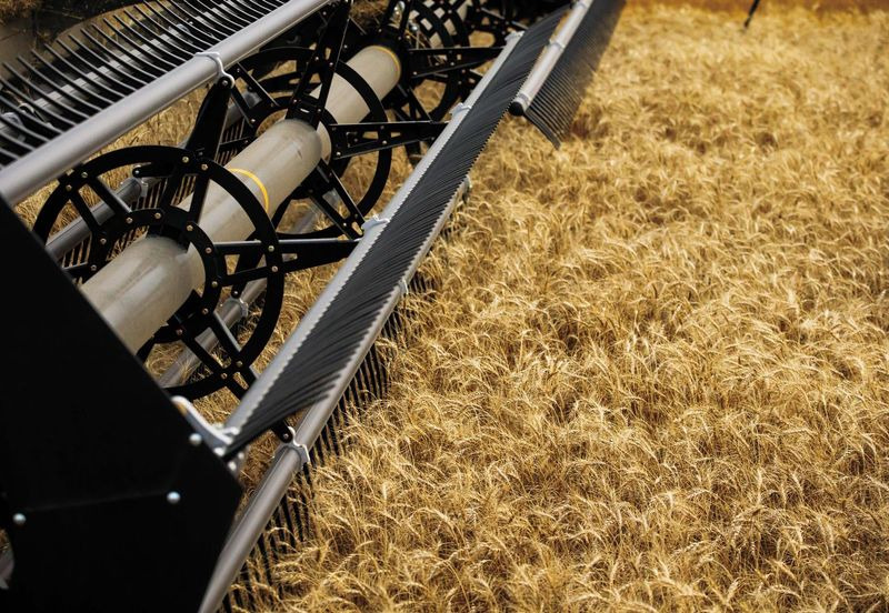 Nieuw Graanmaaibord Honey Bee AirFLEX NXT AFN245: afbeelding 17 Nieuw Graanmaaibord Honey Bee AirFLEX NXT AFN245: afbeelding 17