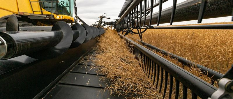 Nieuw Graanmaaibord Honey Bee AirFLEX NXT AFN260: afbeelding 12