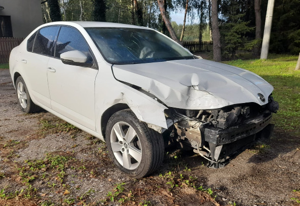 Skoda Octavia - Personenwagen: afbeelding 1 Skoda Octavia - Personenwagen: afbeelding 1