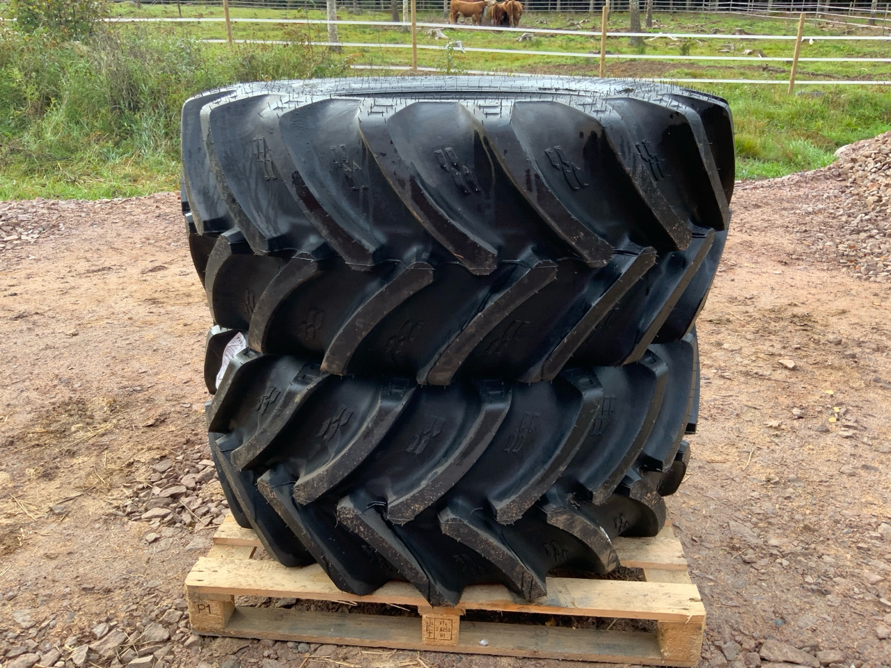 Alliance Agri-Star 365 - Band voor Landbouwmachine: afbeelding 1 Alliance Agri-Star 365 - Band voor Landbouwmachine: afbeelding 1