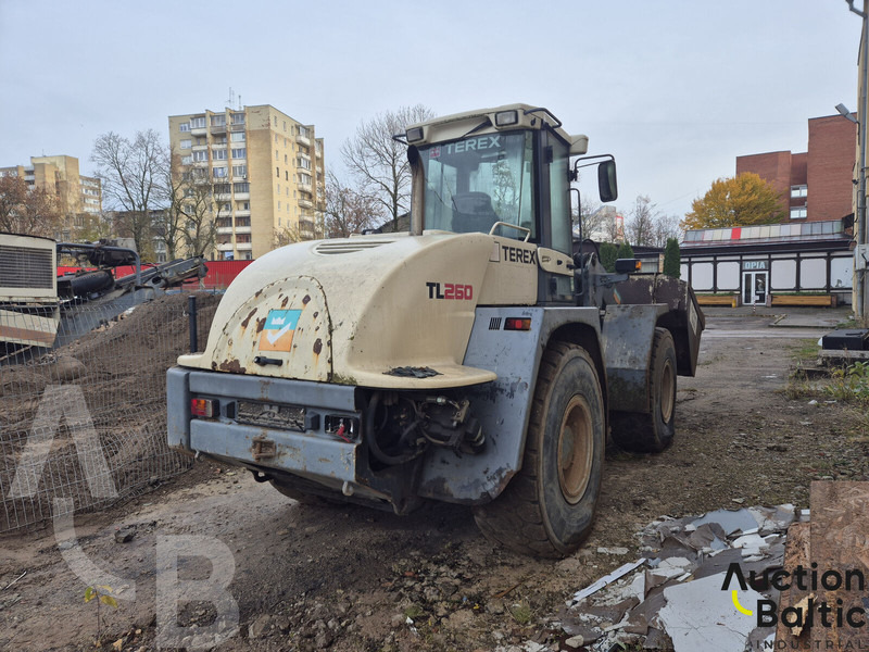 Terex TL 260 - Wiellader: afbeelding 3 Terex TL 260 - Wiellader: afbeelding 3