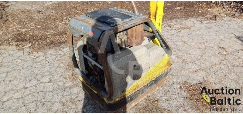 WACKER NEUSON DPU6055 - Trilplaat: afbeelding 3 WACKER NEUSON DPU6055 - Trilplaat: afbeelding 3