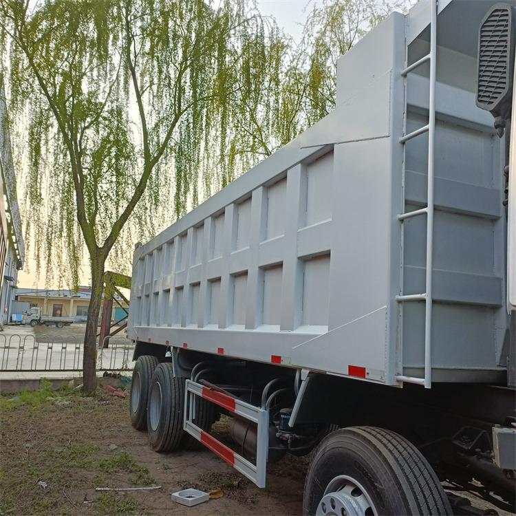Kipper vrachtwagen HOWO 8x4 371hp-White -tipper: afbeelding 9