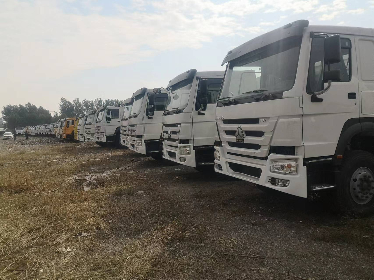 SINOTRUK HOWO WITH FENCE LIVESTOCK DUMP TRUCK - Kipper vrachtwagen: afbeelding 1 SINOTRUK HOWO WITH FENCE LIVESTOCK DUMP TRUCK - Kipper vrachtwagen: afbeelding 1