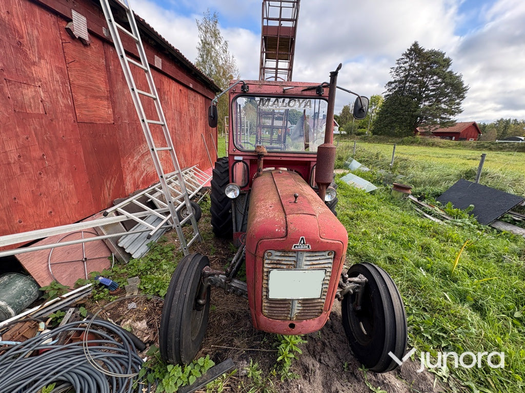 Massey Ferguson 35 Stand – 1960 årsmodell, klassisk dieseltraktor - Tractor: afbeelding 2 Massey Ferguson 35 Stand – 1960 årsmodell, klassisk dieseltraktor - Tractor: afbeelding 2