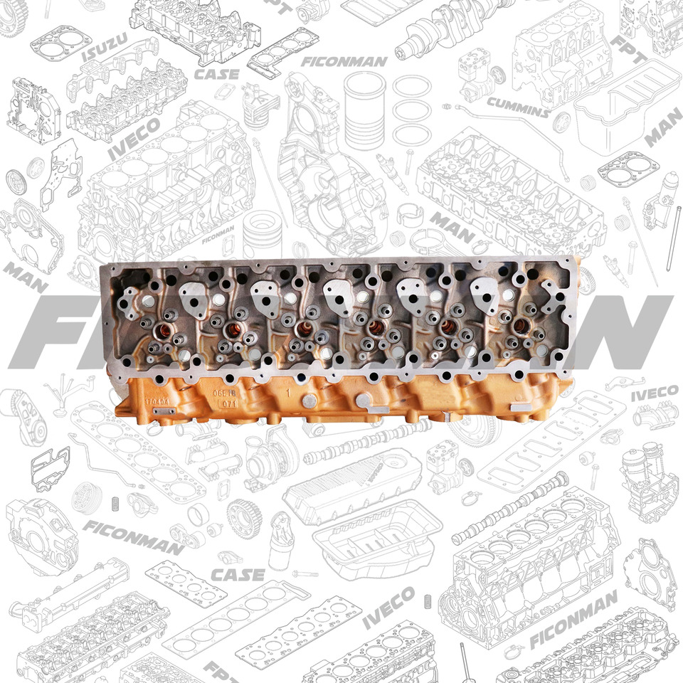 Ford Ford Trucks F-MAX ECOTORQ 9L CYLINDER HEAD GC466050CLN,GC46-6050-BG,GC466050BG - Cilinderkop voor Vrachtwagen: afbeelding 1 Ford Ford Trucks F-MAX ECOTORQ 9L CYLINDER HEAD GC466050CLN,GC46-6050-BG,GC466050BG - Cilinderkop voor Vrachtwagen: afbeelding 1
