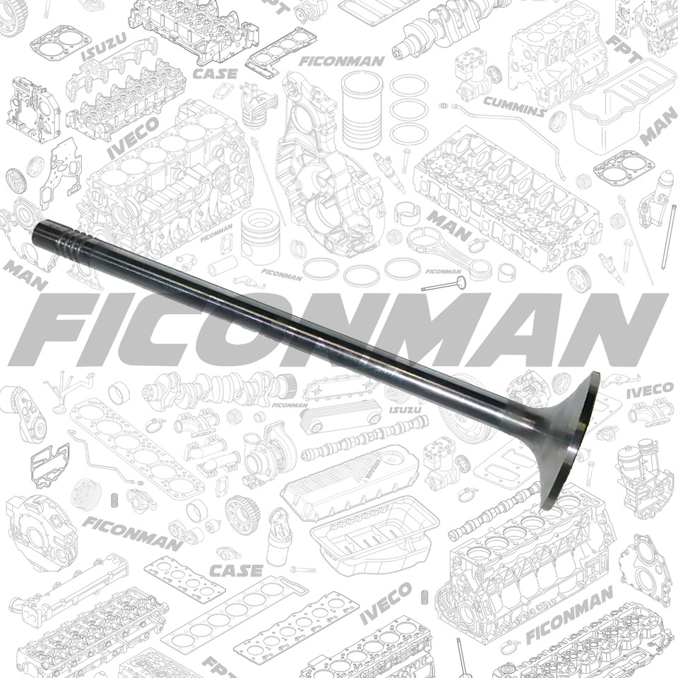 Ford Ford Trucks F-MAX ECOTORQ 9L Intake Valve 2C466507-CA ,T162806, 2C466507CA - Klep voor Vrachtwagen: afbeelding 2 Ford Ford Trucks F-MAX ECOTORQ 9L Intake Valve 2C466507-CA ,T162806, 2C466507CA - Klep voor Vrachtwagen: afbeelding 2
