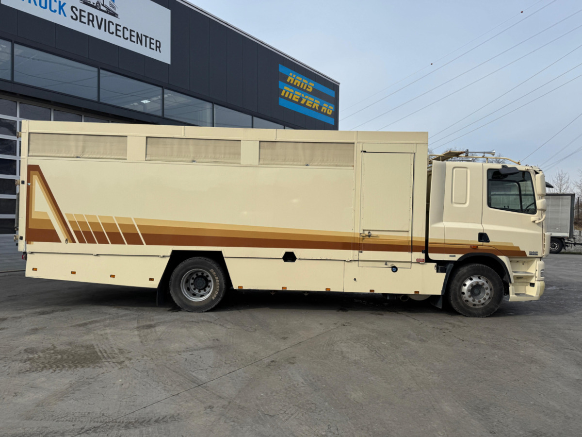 DAF CF410 4x2 - Veewagen vrachtwagen: afbeelding 4 DAF CF410 4x2 - Veewagen vrachtwagen: afbeelding 4
