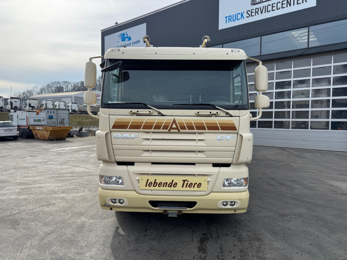 DAF CF410 4x2 - Veewagen vrachtwagen: afbeelding 2 DAF CF410 4x2 - Veewagen vrachtwagen: afbeelding 2