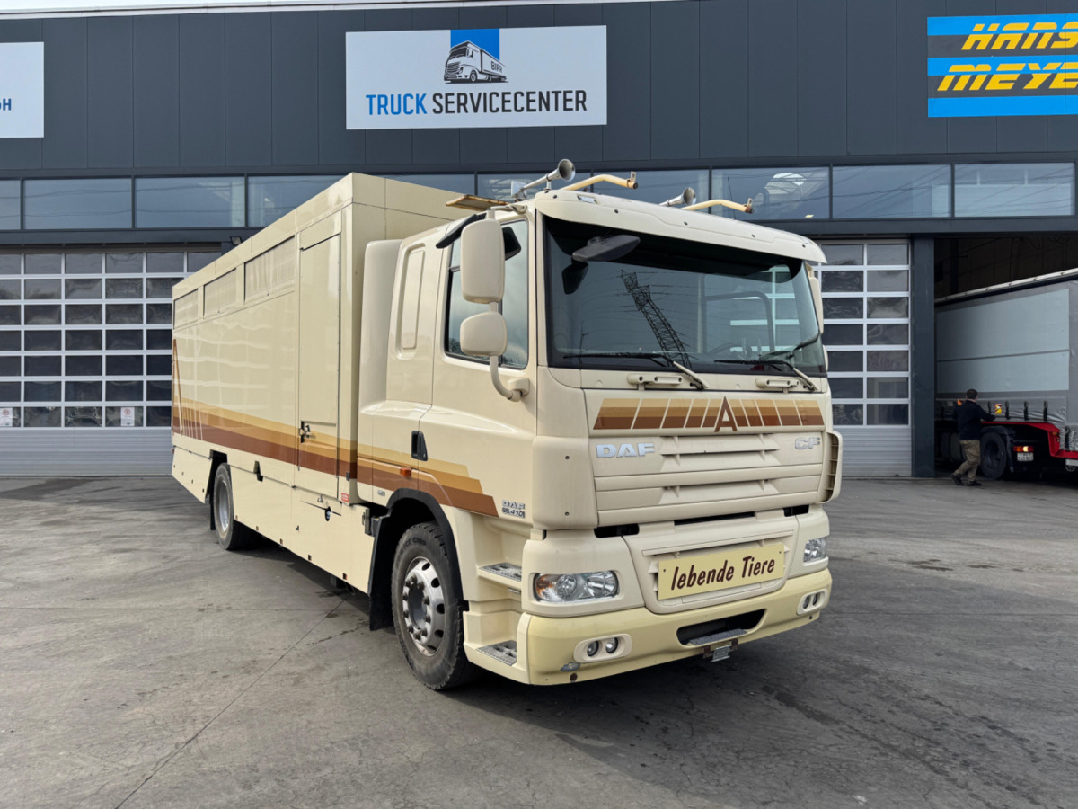 DAF CF410 4x2 - Veewagen vrachtwagen: afbeelding 3 DAF CF410 4x2 - Veewagen vrachtwagen: afbeelding 3