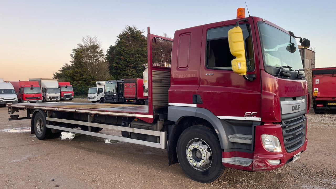 DAF CF 230 - Vrachtwagen met open laadbak: afbeelding 1 DAF CF 230 - Vrachtwagen met open laadbak: afbeelding 1