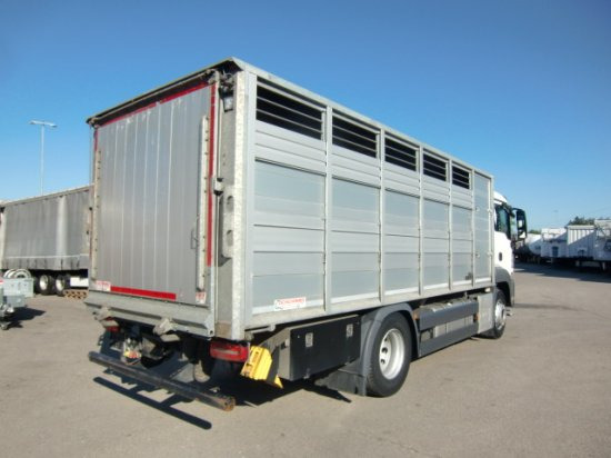 MAN TGS 18.420 Tiertransporter,Euro 6, Manual Seilwinde, el. Ladebordwand Voll Luft - Paardenvrachtwagen: afbeelding 4 MAN TGS 18.420 Tiertransporter,Euro 6, Manual Seilwinde, el. Ladebordwand Voll Luft - Paardenvrachtwagen: afbeelding 4