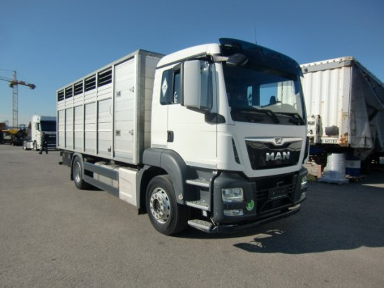 MAN TGS 18.420 Tiertransporter,Euro 6, Manual Seilwinde, el. Ladebordwand Voll Luft - Paardenvrachtwagen: afbeelding 3 MAN TGS 18.420 Tiertransporter,Euro 6, Manual Seilwinde, el. Ladebordwand Voll Luft - Paardenvrachtwagen: afbeelding 3
