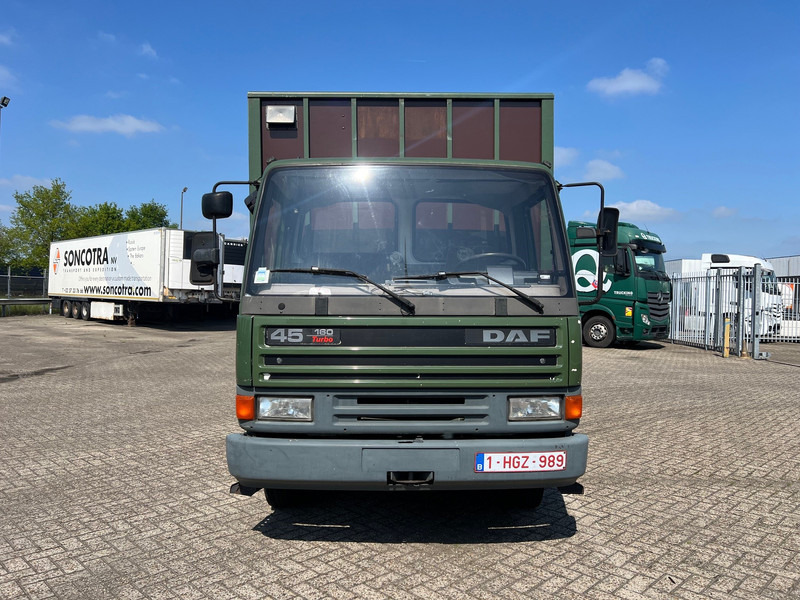 DAF 45.160 - Paardenvrachtwagen: afbeelding 2 DAF 45.160 - Paardenvrachtwagen: afbeelding 2