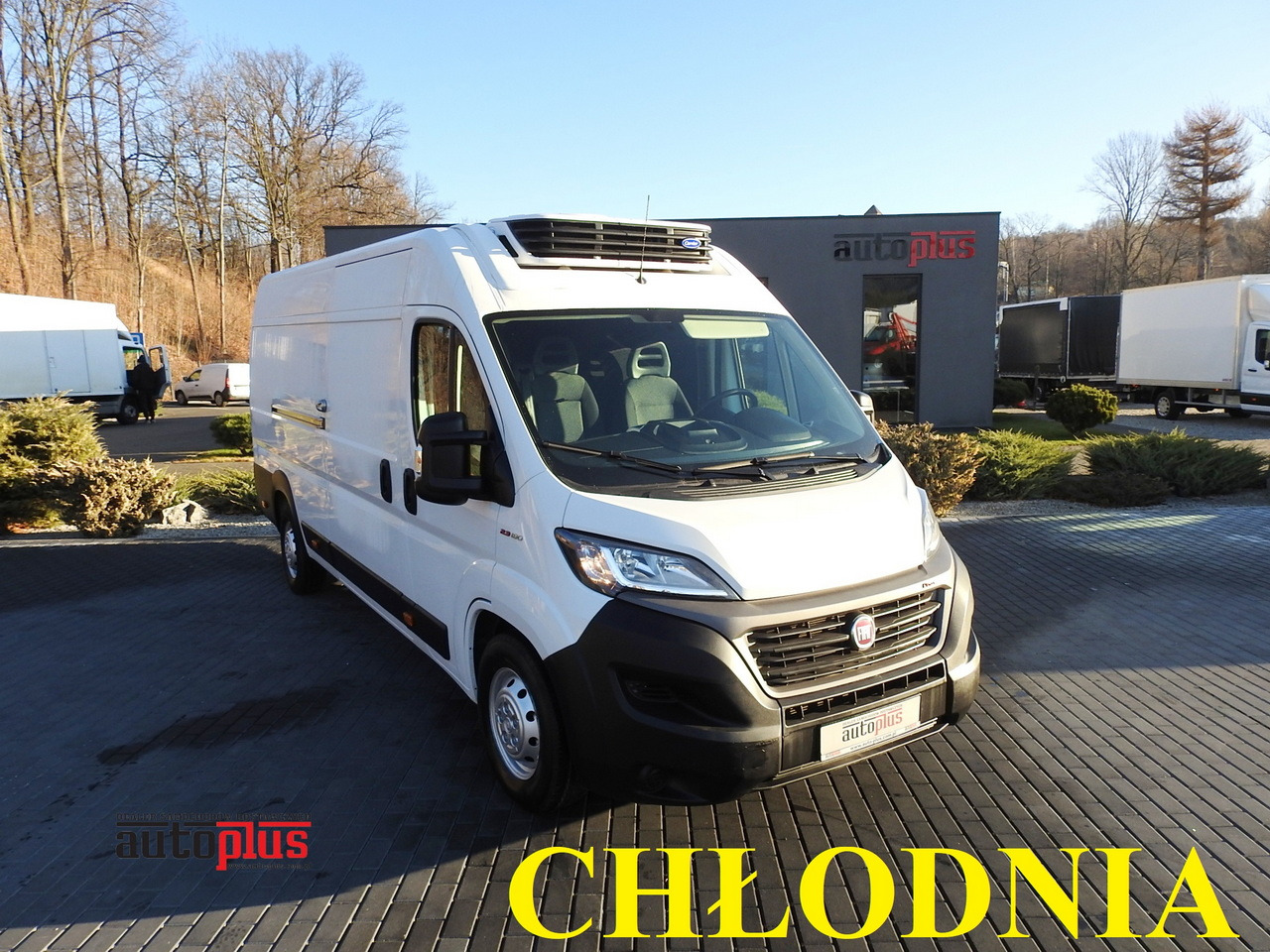 FIAT DUCATO REFRIGERATOR VAN -10*C POWER SUPPLY 230V AIR CONDITIONING 175HP - Koelwagen: afbeelding 1 FIAT DUCATO REFRIGERATOR VAN -10*C POWER SUPPLY 230V AIR CONDITIONING 175HP - Koelwagen: afbeelding 1
