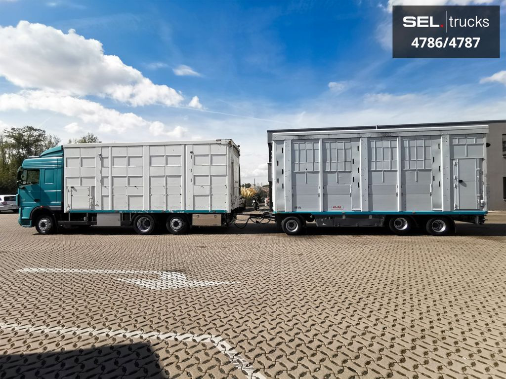 DAF XF 105.460 / Intarder / 4 Stock / KOMPLETT ! DAF XF 105.460 / Intarder / 4 Stock / KOMPLETT ! - Veewagen vrachtwagen: afbeelding 1 DAF XF 105.460 / Intarder / 4 Stock / KOMPLETT ! DAF XF 105.460 / Intarder / 4 Stock / KOMPLETT ! - Veewagen vrachtwagen: afbeelding 1