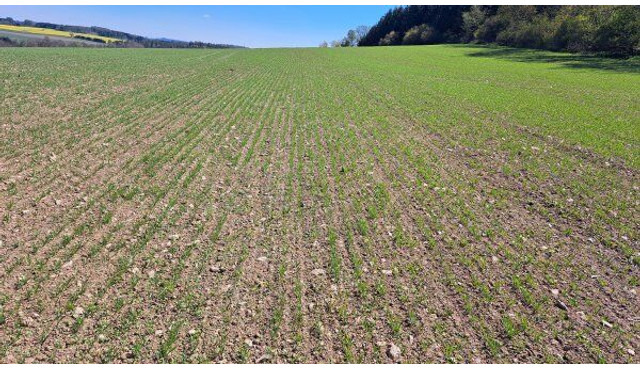 Farmet Falcon 6 PRO Fert+ - Zaaicombinatie: afbeelding 3 Farmet Falcon 6 PRO Fert+ - Zaaicombinatie: afbeelding 3