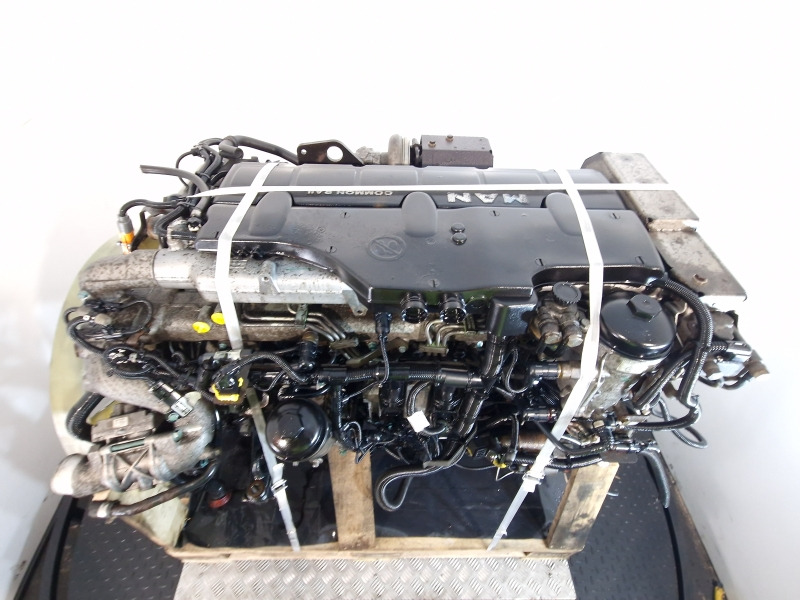 Motor voor Vrachtwagen MAN D0836 LFL66 Engine (Truck): afbeelding 9 Motor voor Vrachtwagen MAN D0836 LFL66 Engine (Truck): afbeelding 9