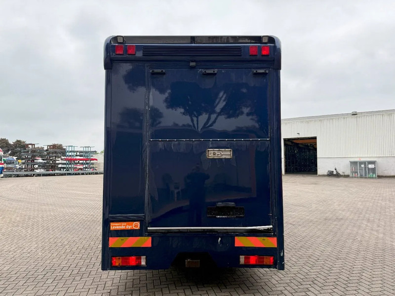 Mercedes-Benz Atego 1223 / ENGINE RUNNING / ONLY:159450 KM / HORSETRUCK / HEATED BOX / WATERTANK / LIVING ROOM / EURO-2 / MANUAL / 1998 - Paardenvrachtwagen: afbeelding 4 Mercedes-Benz Atego 1223 / ENGINE RUNNING / ONLY:159450 KM / HORSETRUCK / HEATED BOX / WATERTANK / LIVING ROOM / EURO-2 / MANUAL / 1998 - Paardenvrachtwagen: afbeelding 4