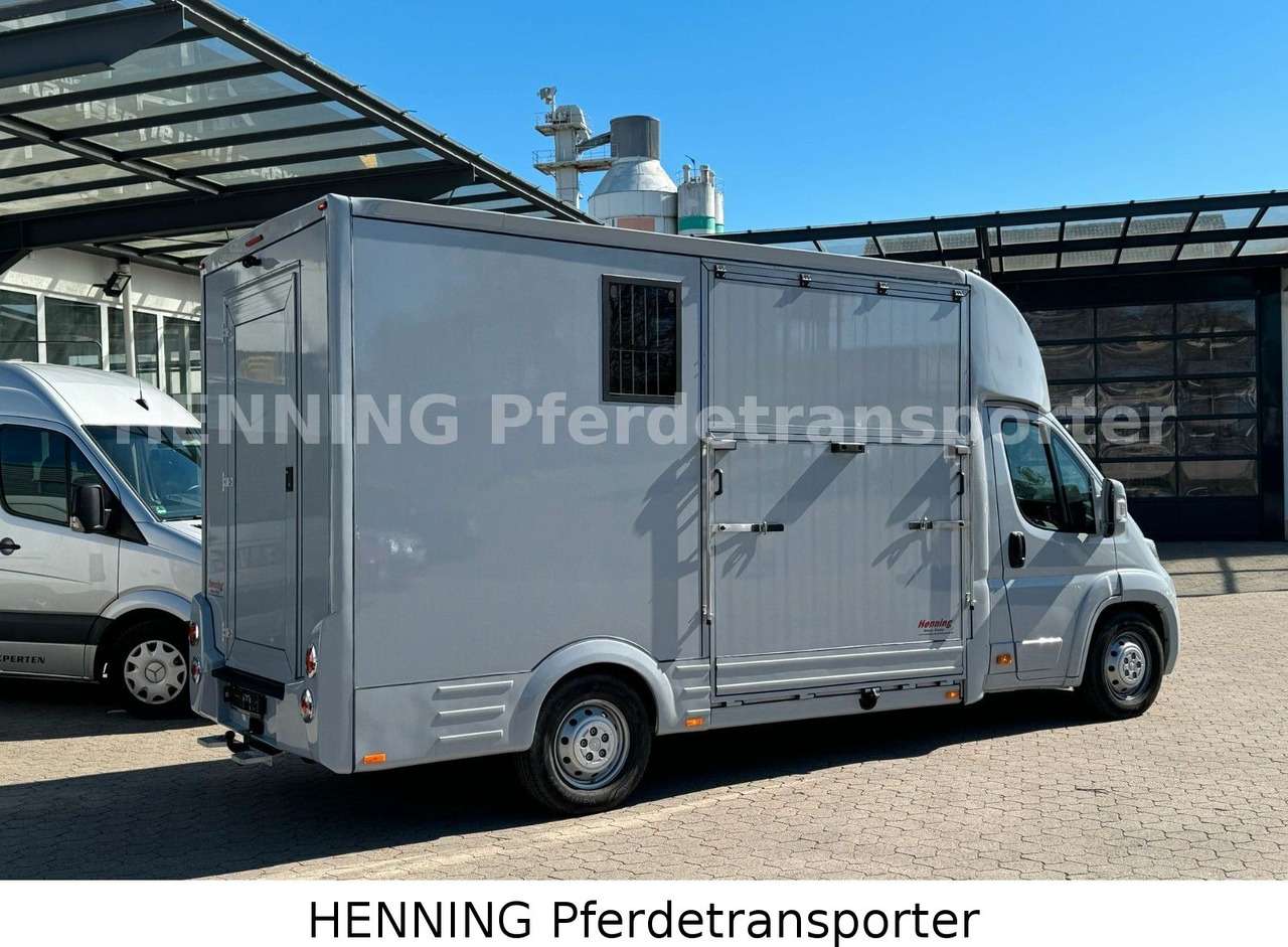 Citroën Jumper 3 - Sitzer - Paardenvrachtwagen: afbeelding 3 Citroën Jumper 3 - Sitzer - Paardenvrachtwagen: afbeelding 3