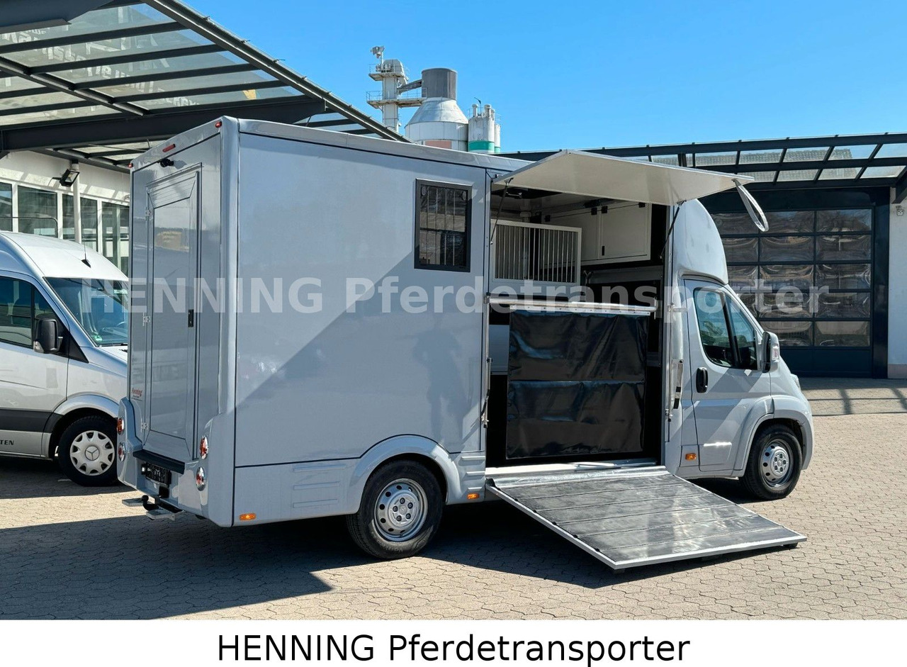 Citroën Jumper 3 - Sitzer - Paardenvrachtwagen: afbeelding 4 Citroën Jumper 3 - Sitzer - Paardenvrachtwagen: afbeelding 4