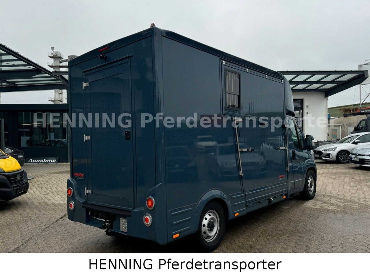 Fiat Ducato *AUTOMATIK* 3 - Sitzer - Veewagen vrachtwagen: afbeelding 3 Fiat Ducato *AUTOMATIK* 3 - Sitzer - Veewagen vrachtwagen: afbeelding 3