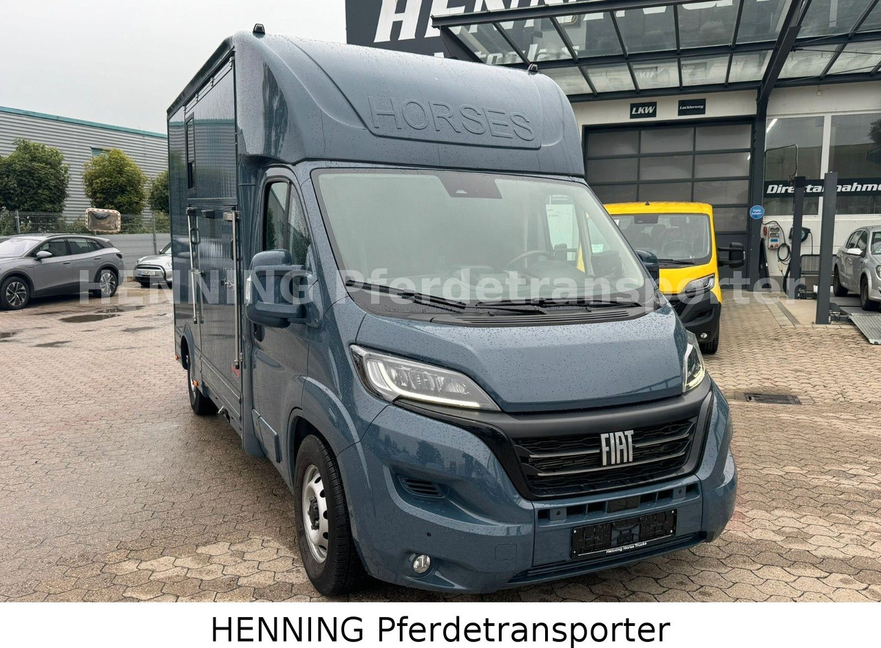 Fiat Ducato *AUTOMATIK* 3 - Sitzer - Veewagen vrachtwagen: afbeelding 2 Fiat Ducato *AUTOMATIK* 3 - Sitzer - Veewagen vrachtwagen: afbeelding 2