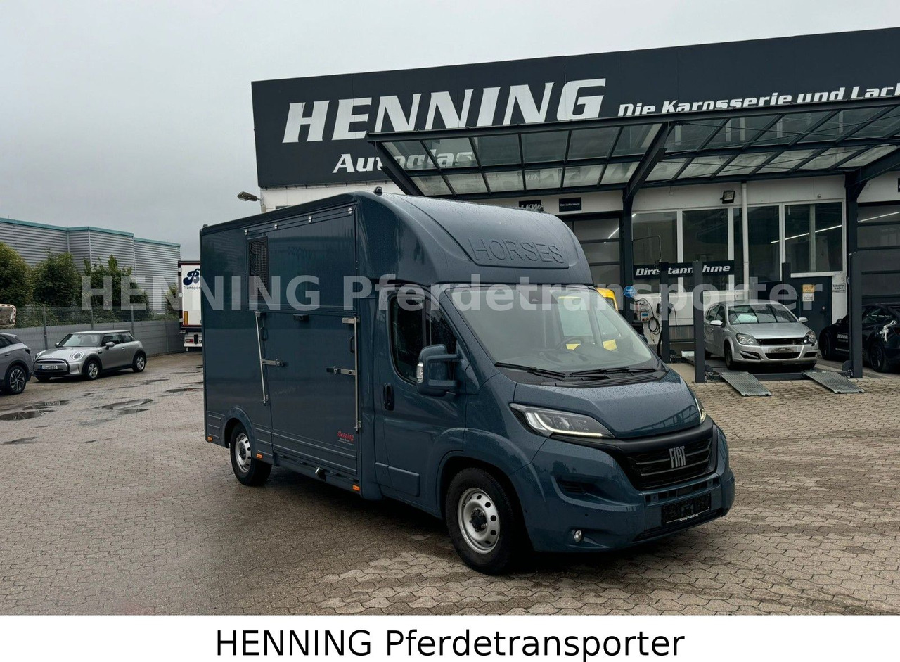 Fiat Ducato *AUTOMATIK* 3 - Sitzer - Veewagen vrachtwagen: afbeelding 1 Fiat Ducato *AUTOMATIK* 3 - Sitzer - Veewagen vrachtwagen: afbeelding 1