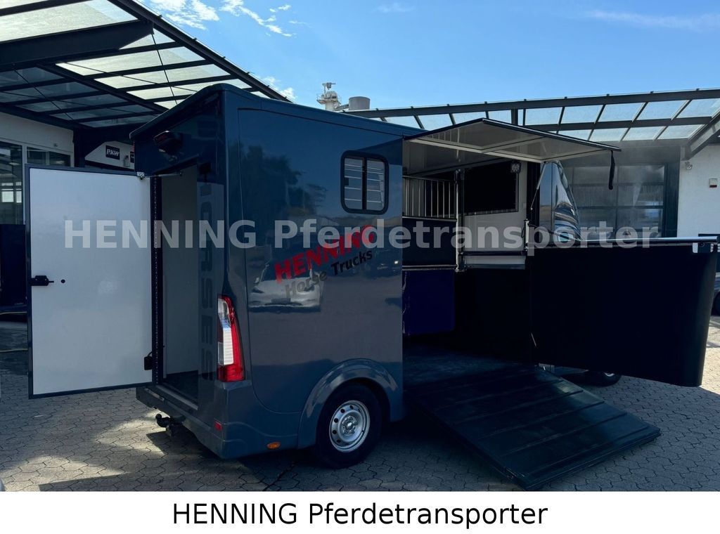 Opel Movano 3 - Sitzer *AUFBAU NEU* - Paardenvrachtwagen: afbeelding 3 Opel Movano 3 - Sitzer *AUFBAU NEU* - Paardenvrachtwagen: afbeelding 3