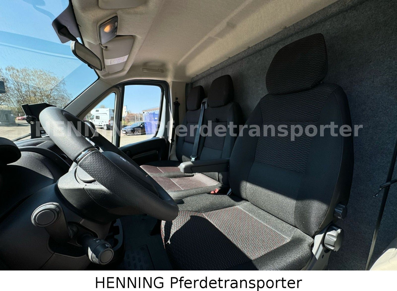 Paardenvrachtwagen Peugeot Boxer 3-Sitzer *NEUWAGEN* 1000 KG NUTZLAST: afbeelding 14 Paardenvrachtwagen Peugeot Boxer 3-Sitzer *NEUWAGEN* 1000 KG NUTZLAST: afbeelding 14