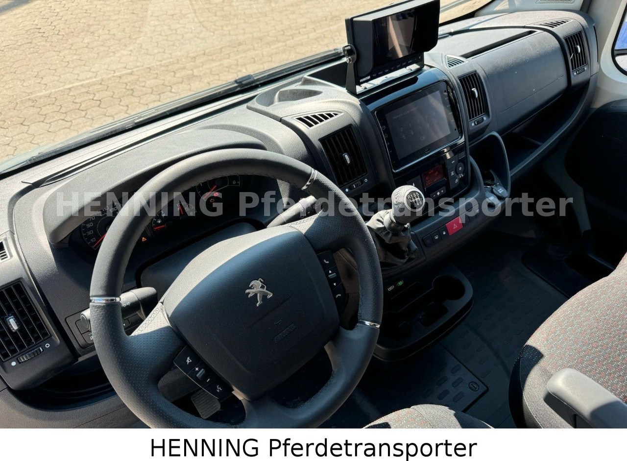 Paardenvrachtwagen Peugeot Boxer 3-Sitzer *NEUWAGEN* 1000 KG NUTZLAST: afbeelding 15 Paardenvrachtwagen Peugeot Boxer 3-Sitzer *NEUWAGEN* 1000 KG NUTZLAST: afbeelding 15
