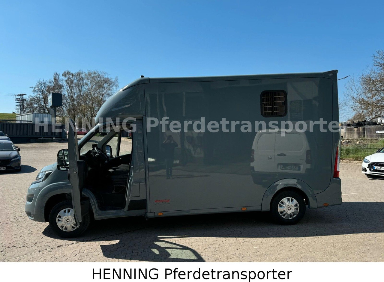 Paardenvrachtwagen Peugeot Boxer 3-Sitzer *NEUWAGEN* 1000 KG NUTZLAST: afbeelding 13 Paardenvrachtwagen Peugeot Boxer 3-Sitzer *NEUWAGEN* 1000 KG NUTZLAST: afbeelding 13