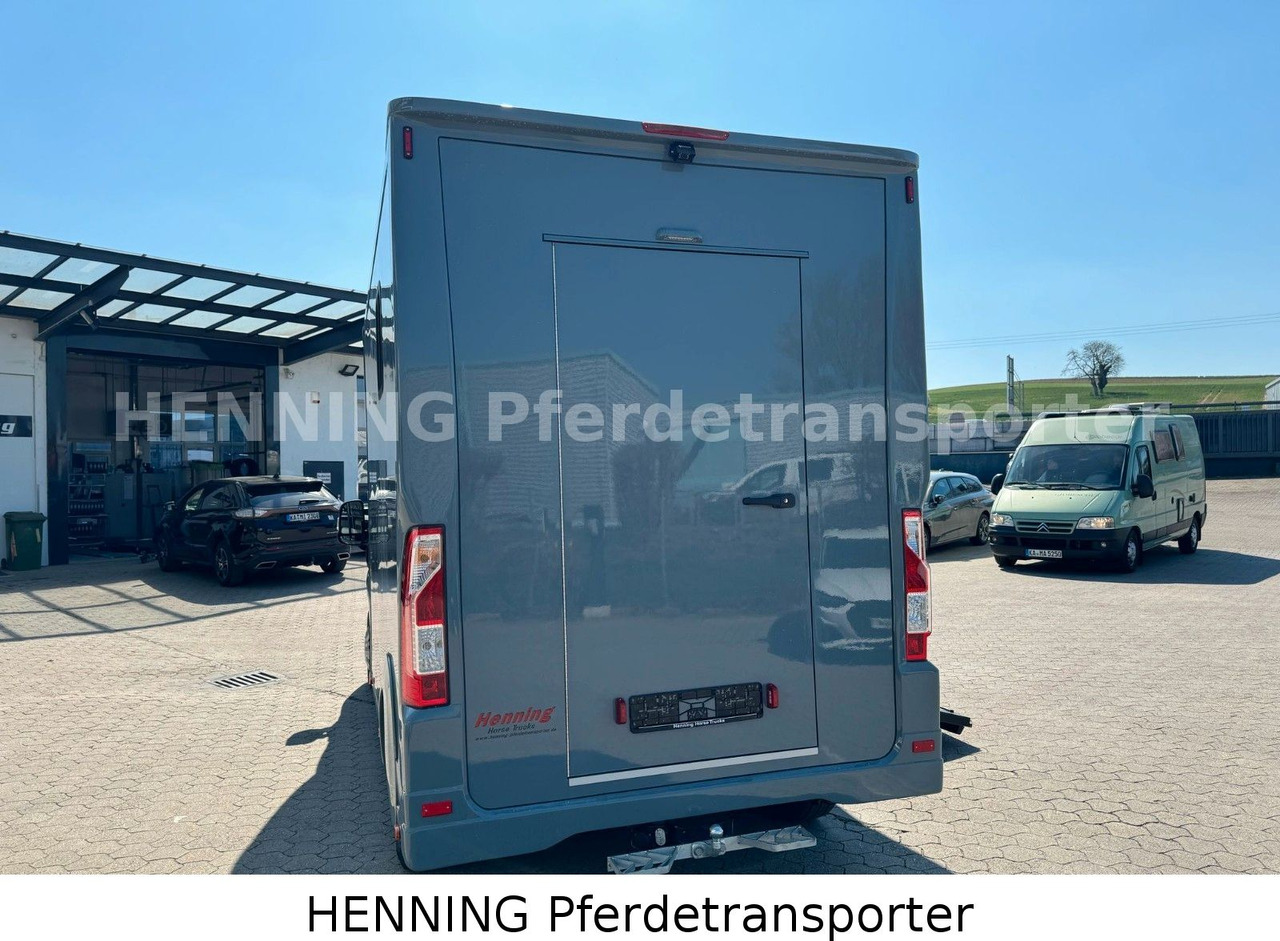 Paardenvrachtwagen Peugeot Boxer 3-Sitzer *NEUWAGEN* 1000 KG NUTZLAST: afbeelding 12 Paardenvrachtwagen Peugeot Boxer 3-Sitzer *NEUWAGEN* 1000 KG NUTZLAST: afbeelding 12