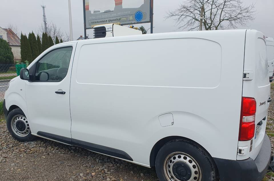Koelwagen Citroen JUMPY CHLODNIA MROZNIA CARRIER+230V KLIMA EURO6 [ Copy ]: afbeelding 9