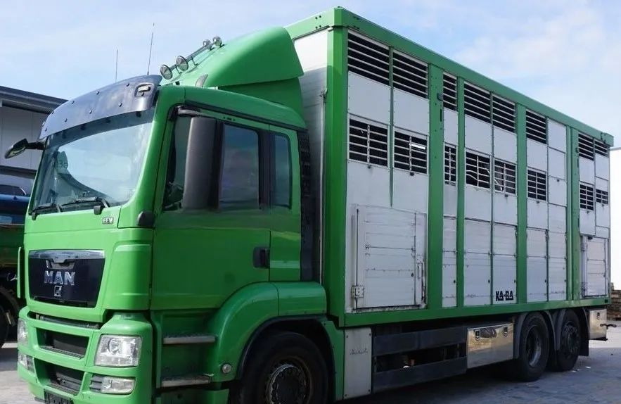 MAN TGS 26.440 ZABUDOWA KABA CAŁA ALUMINIOWA– samochód do transportu zwierząt/koni – 3 pokłady / EURO 5/6X2/PODNOSZONY DACH - Veewagen vrachtwagen: afbeelding 1 MAN TGS 26.440 ZABUDOWA KABA CAŁA ALUMINIOWA– samochód do transportu zwierząt/koni – 3 pokłady / EURO 5/6X2/PODNOSZONY DACH - Veewagen vrachtwagen: afbeelding 1