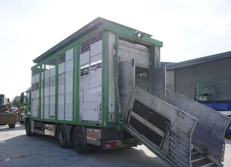 MAN TGS 26.440 ZABUDOWA KABA CAŁA ALUMINIOWA– samochód do transportu zwierząt/koni – 3 pokłady / EURO 5/6X2/PODNOSZONY DACH - Veewagen vrachtwagen: afbeelding 4 MAN TGS 26.440 ZABUDOWA KABA CAŁA ALUMINIOWA– samochód do transportu zwierząt/koni – 3 pokłady / EURO 5/6X2/PODNOSZONY DACH - Veewagen vrachtwagen: afbeelding 4