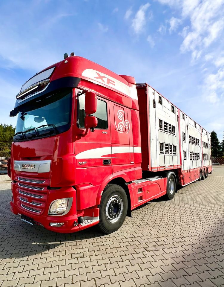 Pezzaioli NACZEPA 2017 / 3 POZIOMY / TRANSPORT ZWIERZĄT / HYDRAULIKA / STEROWANIE PILOTEM/ PODNOSZONY DACH / - Veewagen oplegger: afbeelding 5 Pezzaioli NACZEPA 2017 / 3 POZIOMY / TRANSPORT ZWIERZĄT / HYDRAULIKA / STEROWANIE PILOTEM/ PODNOSZONY DACH / - Veewagen oplegger: afbeelding 5