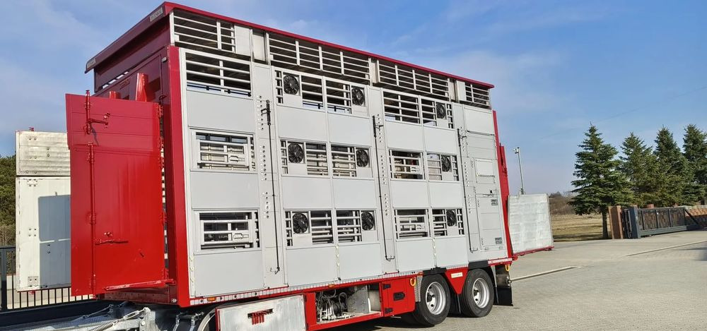 Pezzaioli RBA 32/TRZYOSIOWA PRZYCZEPA-2XBYDŁO,3X TRZODA - Veewagen aanhangwagen: afbeelding 3 Pezzaioli RBA 32/TRZYOSIOWA PRZYCZEPA-2XBYDŁO,3X TRZODA - Veewagen aanhangwagen: afbeelding 3