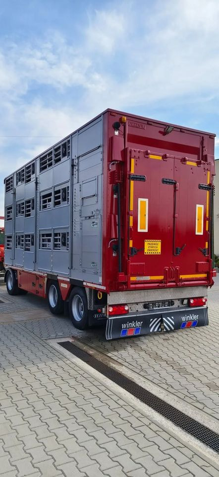 Pezzaioli RBA 32/TRZYOSIOWA PRZYCZEPA-2XBYDŁO,3X TRZODA - Veewagen aanhangwagen: afbeelding 4 Pezzaioli RBA 32/TRZYOSIOWA PRZYCZEPA-2XBYDŁO,3X TRZODA - Veewagen aanhangwagen: afbeelding 4