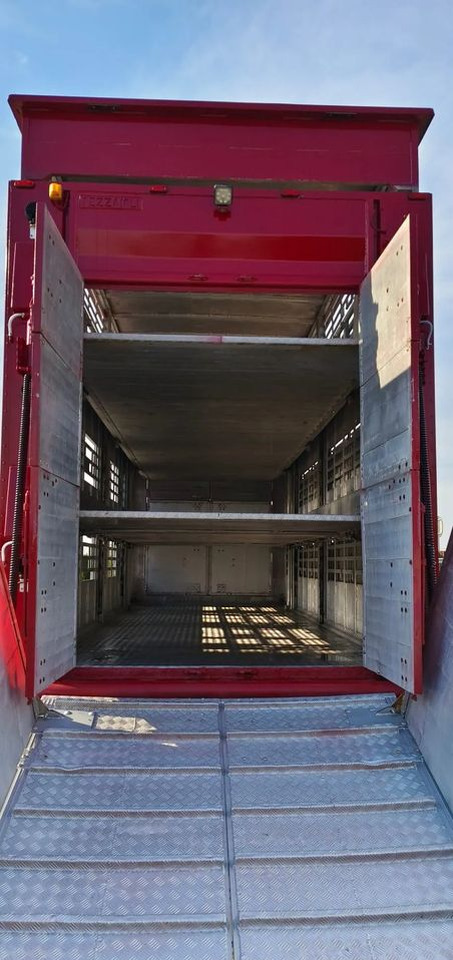 Pezzaioli RBA 32/TRZYOSIOWA PRZYCZEPA-2XBYDŁO,3X TRZODA - Veewagen aanhangwagen: afbeelding 5 Pezzaioli RBA 32/TRZYOSIOWA PRZYCZEPA-2XBYDŁO,3X TRZODA - Veewagen aanhangwagen: afbeelding 5